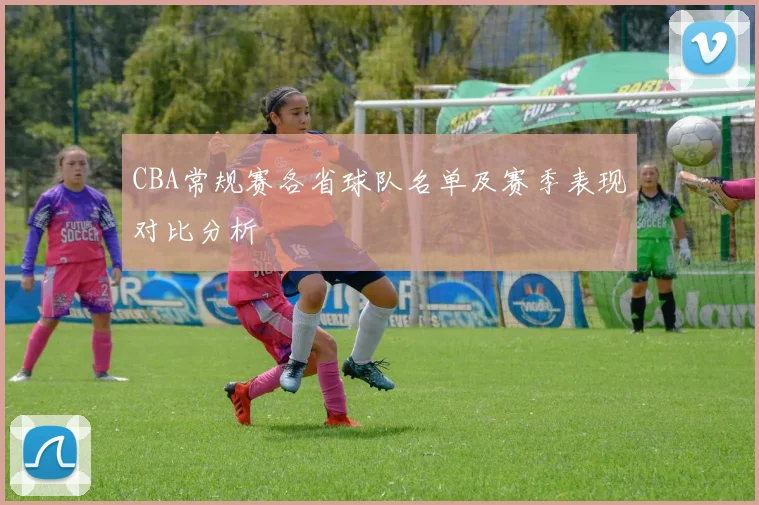 CBA常规赛各省球队名单及赛季表现对比分析