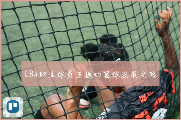 CBA职业球员王振的篮球发展之路