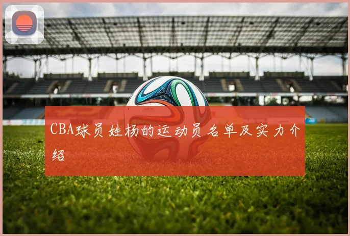 CBA球员姓杨的运动员名单及实力介绍