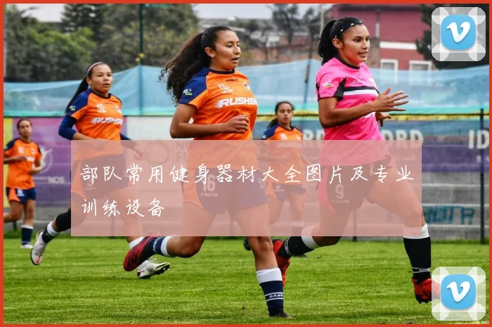 部队常用健身器材大全图片及专业训练设备