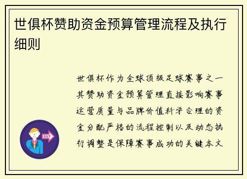 世俱杯赞助资金预算管理流程及执行细则